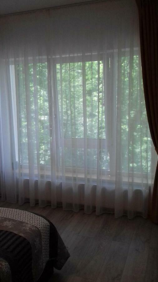 Apartament Ramona * Brasov